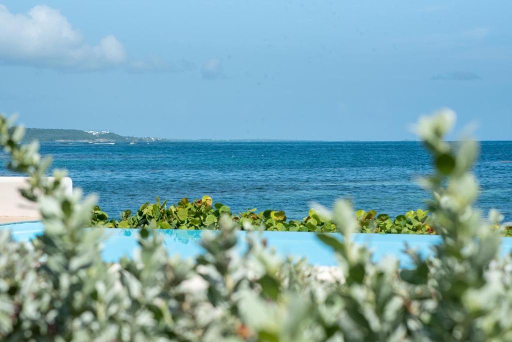 Pasha - Ocean View Leilighet Sainte-Anne  Eksteriør bilde